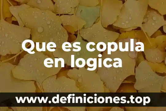 Que es copula en logica