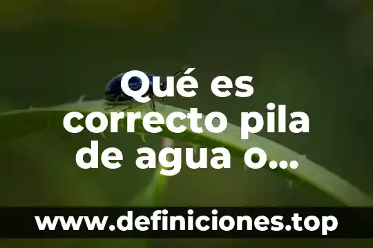 Qué es correcto pila de agua o tanque de agua