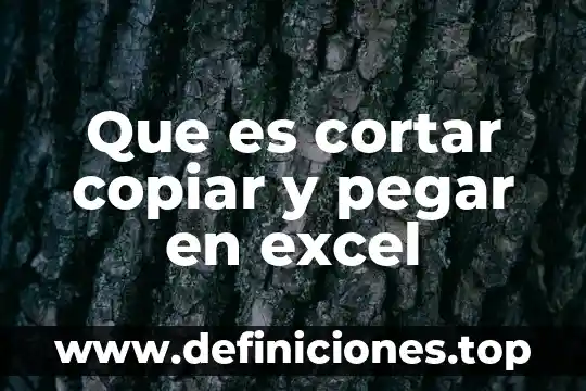 Qué es una cizalla manual para cortar lámina 5 Que es cortar copiar y pegar en excel