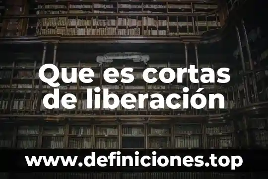 Que es timing en una composicion animada 5 Que es cortas de liberación