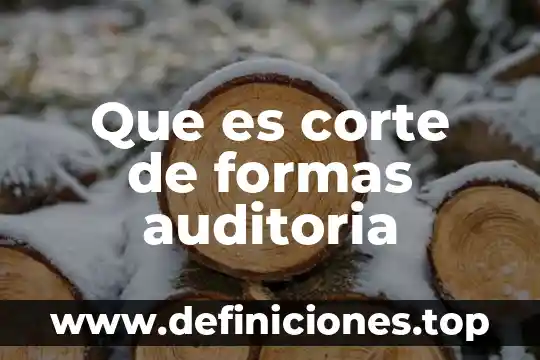 Que es estatuto de la corte 8 Que es corte de formas auditoria