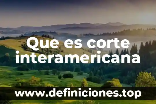 Que es estatuto de la corte 4 Que es corte interamericana