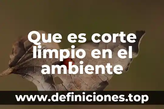 Aire limpio que es 5 Que es corte limpio en el ambiente