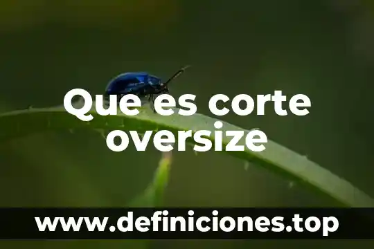 Que es corte oversize