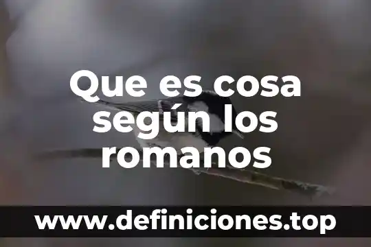 Que es la cosa blanca que sale de las mujeres 8 Que es cosa según los romanos