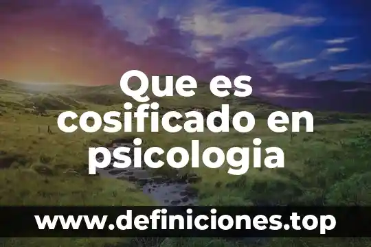 Que es cosificado en psicologia