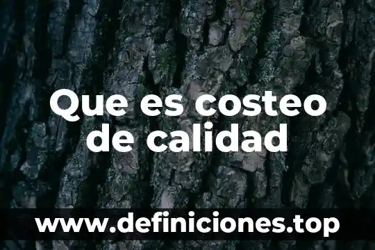 Qué es costeo basado en actividades proyectos 5 Que es costeo de calidad