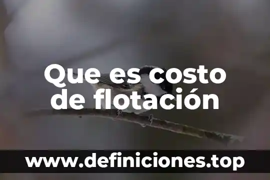 Que es costo de flotación