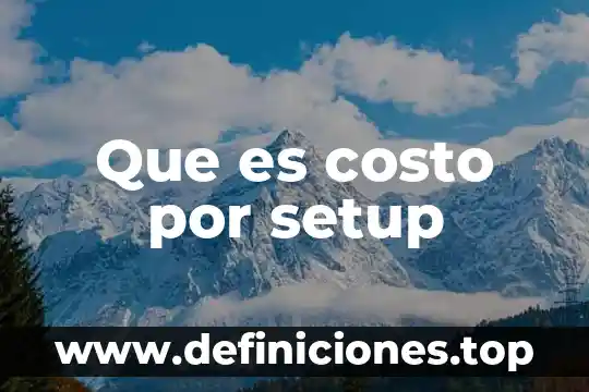 En software que es setup 5 Que es costo por setup