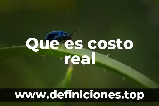 Que es costo real