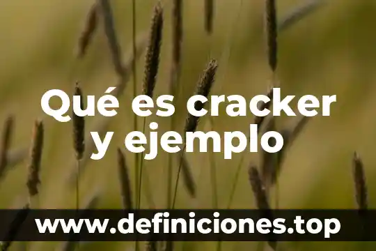 Que es susedaneo ejemplo 6 Qué es cracker y ejemplo