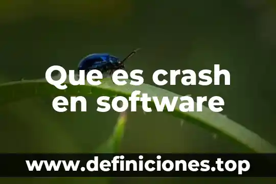 Que es flexera software 7 Que es crash en software
