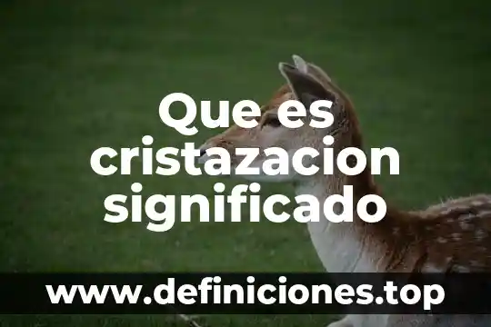Que es precisar el significado 3 Que es cristazacion significado