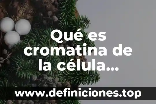 Qué es cromatina de la célula animal