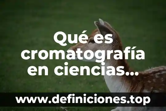 Para que es importante ciencias naturales 3 Qué es cromatografía en ciencias naturales