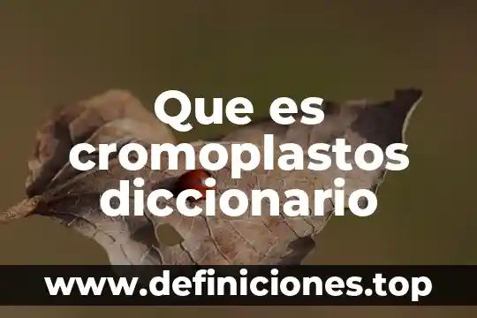 Que es una adiccion yahoo respuestas 5 Que es cromoplastos diccionario