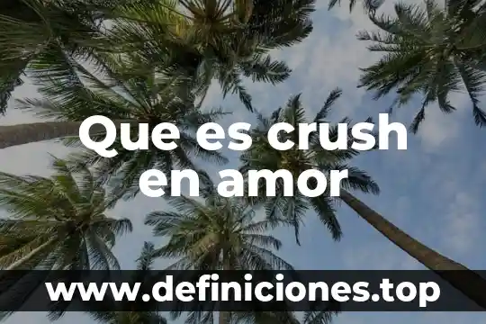 Que es crush en amor