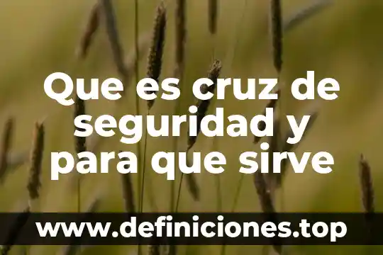Que es cruz de seguridad y para que sirve