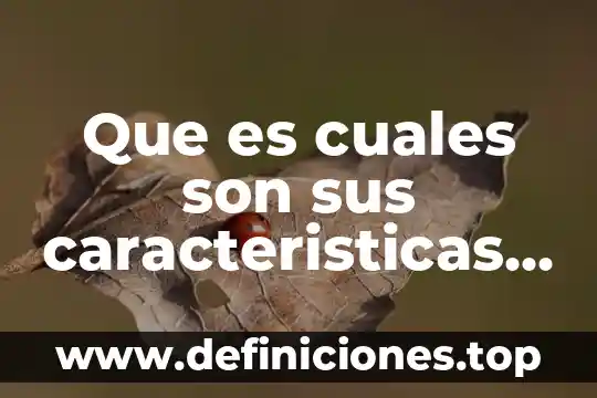 Que es cuales son sus caracteristicas de sinecdoque