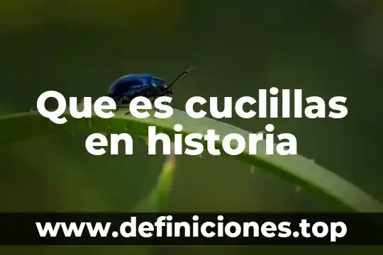 Qué es dominicos en historia 8 Que es cuclillas en historia