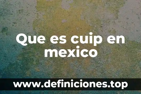 Que es cuip en mexico