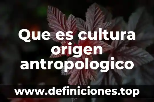 Que es cultura origen antropologico