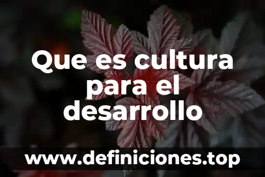 Que es desarrollo de la empatia 4 Que es cultura para el desarrollo