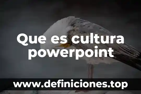 Qué es y para qué sirve PowerPoint 3 Que es cultura powerpoint