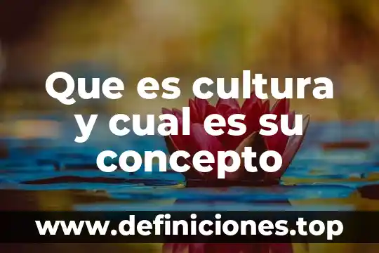 Que es cultura y cual es su concepto