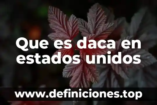 Qué es un hospicio en estados unidos 5 Que es daca en estados unidos