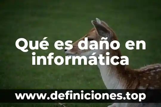 Qué es daño en informática