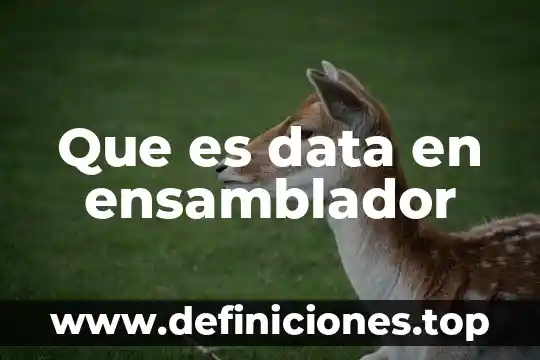 Que es el software get data black 3 Que es data en ensamblador