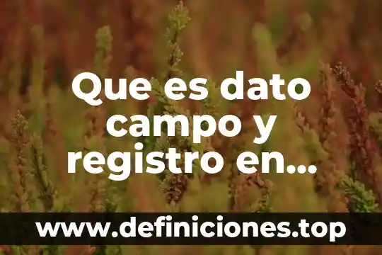 Que es la consistencia en informatica 7 Que es dato campo y registro en informatica