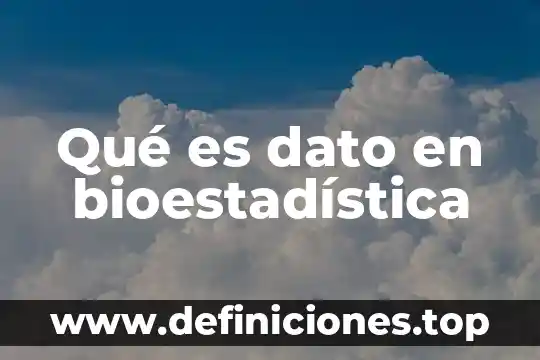 Zapato de piel que es 5 Qué es dato en bioestadística