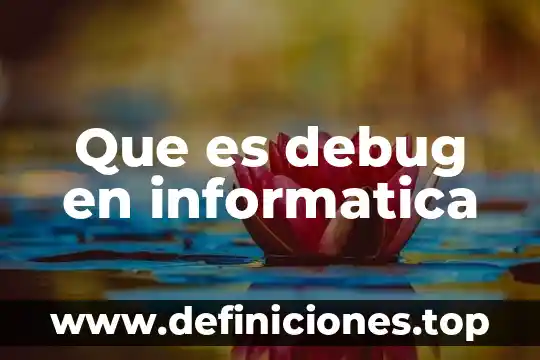 Qué es un resolución en informática 4 Que es debug en informatica