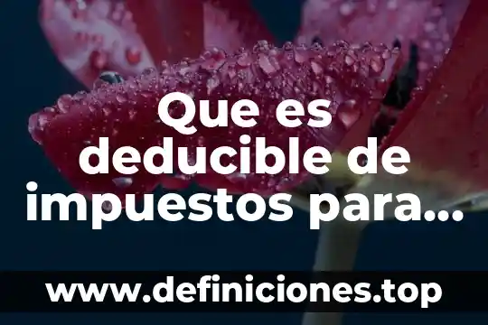Acciente que es el deducible 5 Que es deducible de impuestos para personas morales