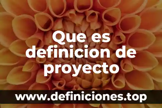 Que es definicion de proyecto