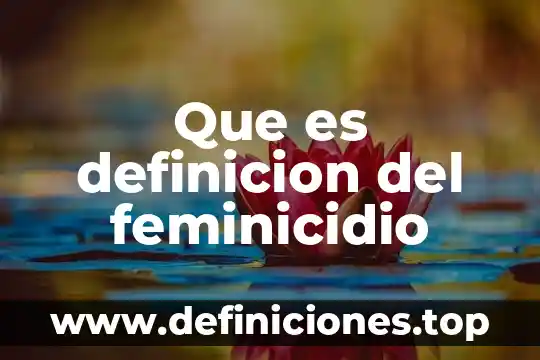 Que es definicion del feminicidio
