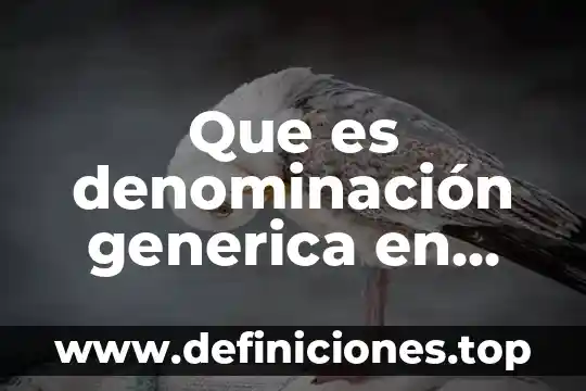 Qué es denominación y naturaleza del producto 5 Que es denominación generica en comunicacion