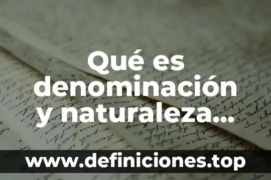 Que es una denominación numerica 5 Qué es denominación y naturaleza del producto
