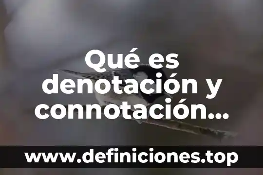 Qué es denotación y connotación características 4 Qué es denotación y connotación ejemplo