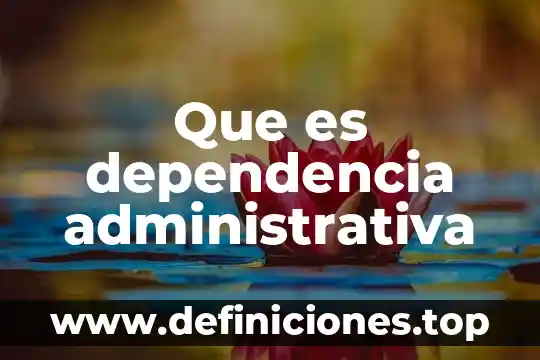 Que es un autorizacipon administrativa 8 Que es dependencia administrativa