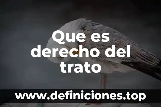 Que es un buen trato familiar 5 Que es derecho del trato