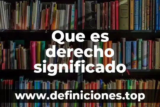 Que es segmento y su significado 4 Que es derecho significado