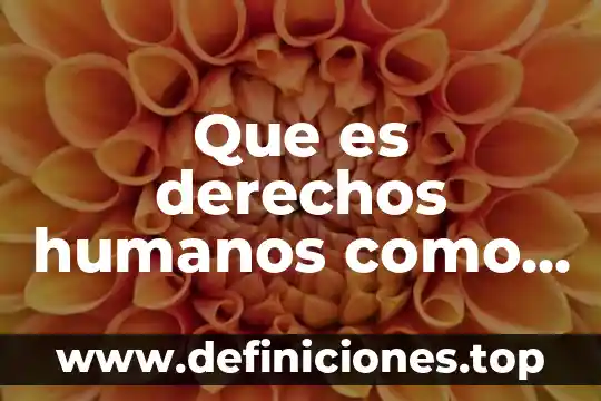 Que es derechos humanos como imperativo etico