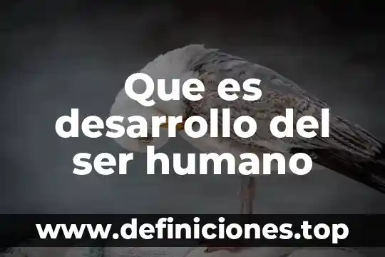 Que es el factor humano en una empresa 5 Que es desarrollo del ser humano