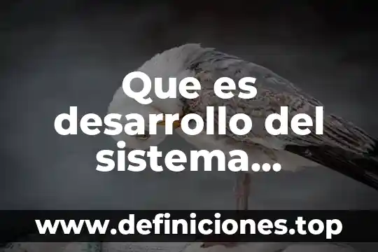 Que es desarrollo del sistema vascular flor