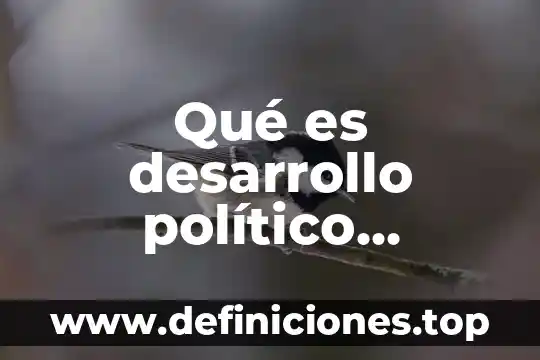 Qué es desarrollo político concepto