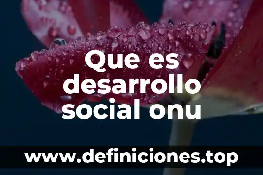 Share social que es 3 Que es desarrollo social onu