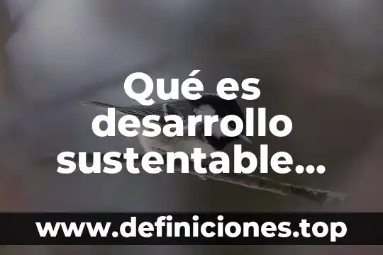 Qué es el universo definición para niños 5 Qué es desarrollo sustentable definición